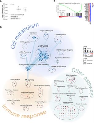 Inhibiting Histone and DNA Methylation Improves Cancer Vaccination in an Experimental Model of Melanoma